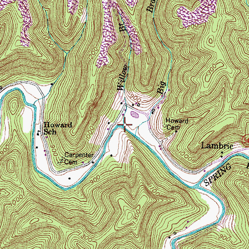 Topographic Map of Willow Branch, KY