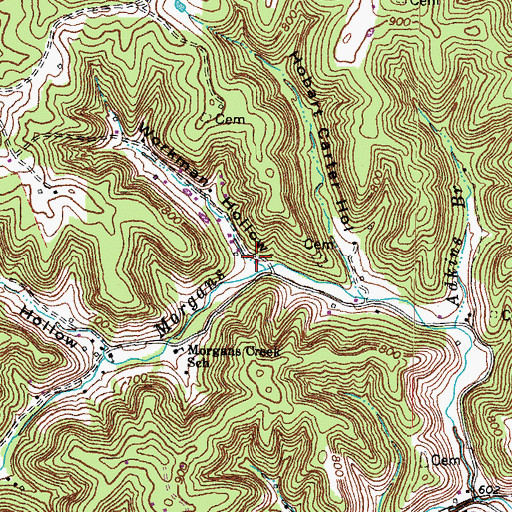 Topographic Map of Workman Hollow, KY