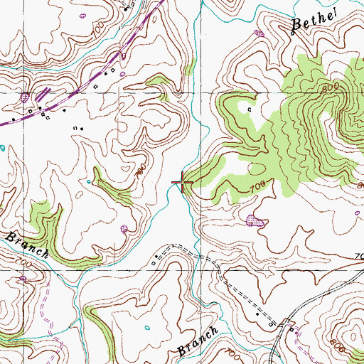 Topographic Map of Yellowlick Branch, KY