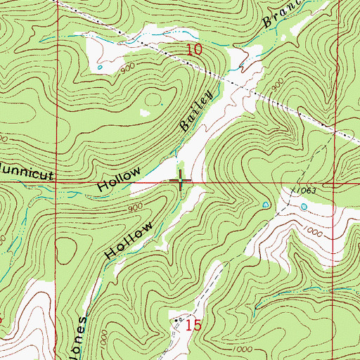 Topographic Map of Jones Hollow, AR