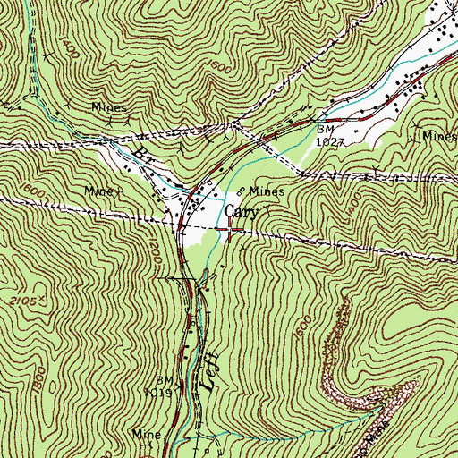 Topographic Map of Cary, KY