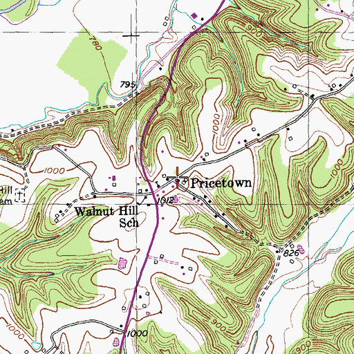 Topographic Map of Pricetown, KY