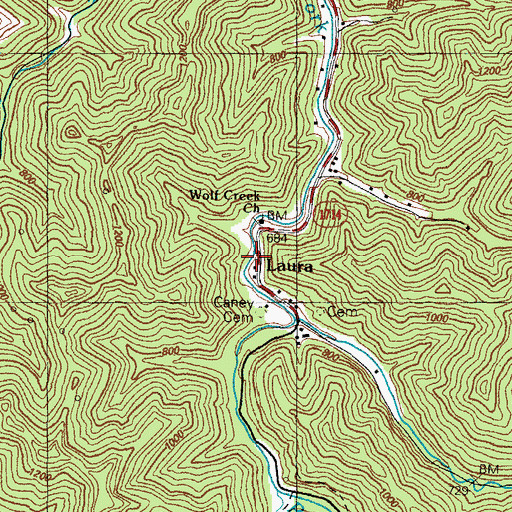 Topographic Map of Laura, KY