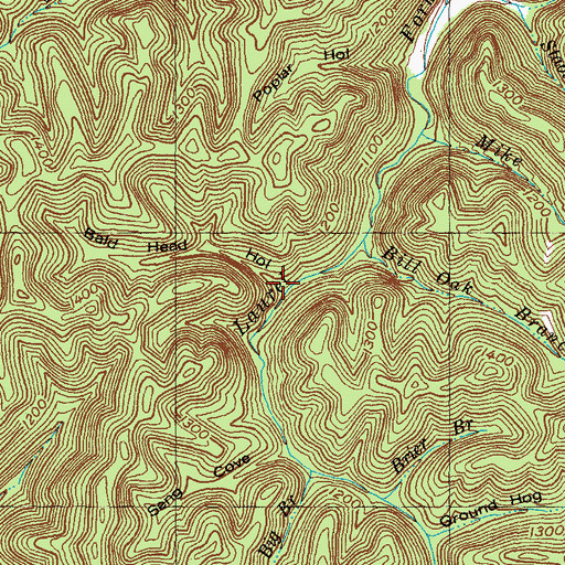 Topographic Map of Bald Head Hollow, KY