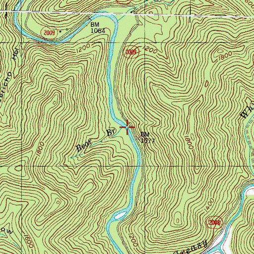 Topographic Map of Bear Branch, KY