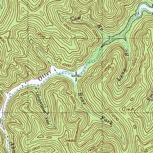 Topographic Map of Bear Fork, KY