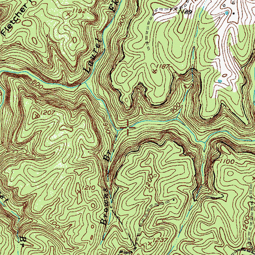 Topographic Map of Browns Branch, KY
