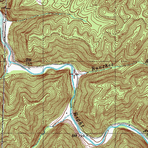 Topographic Map of Bunches Branch, KY