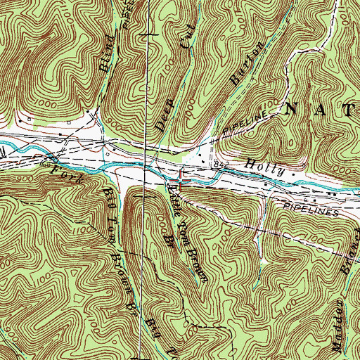 Topographic Map of Burton Branch, KY