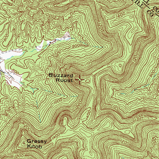 Topographic Map of Buzzard Roost, KY