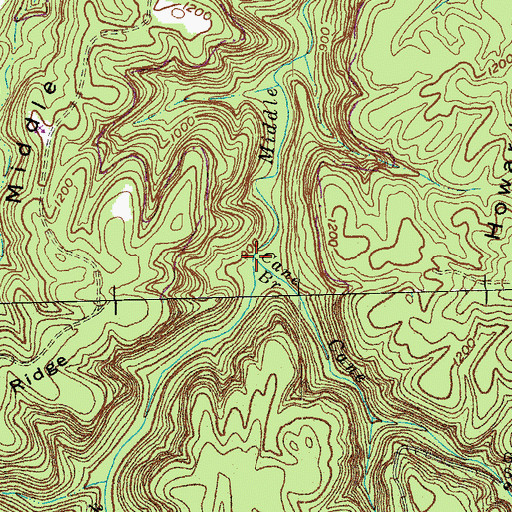Topographic Map of Cane Branch, KY