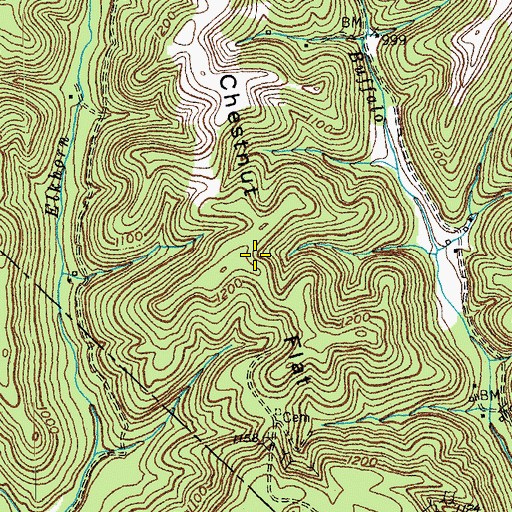 Topographic Map of Chestnut Flat, KY