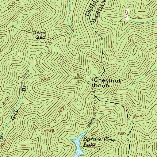 Topographic Map of Chestnut Gap, KY