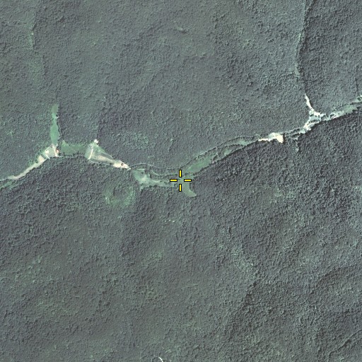 Aerial/Satellite Image of Collins Fork, KY