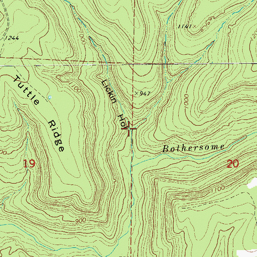 Topographic Map of Lickin Hollow, AR