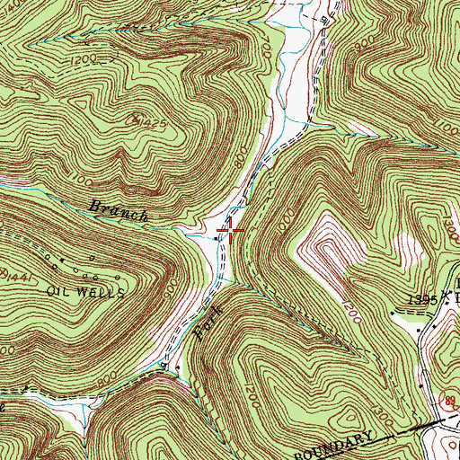 Topographic Map of Elk Branch, KY