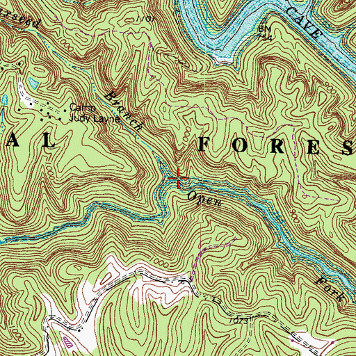 Topographic Map of Flaxseed Branch, KY