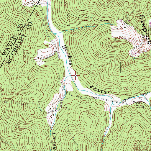 Topographic Map of Foster Hollow, KY