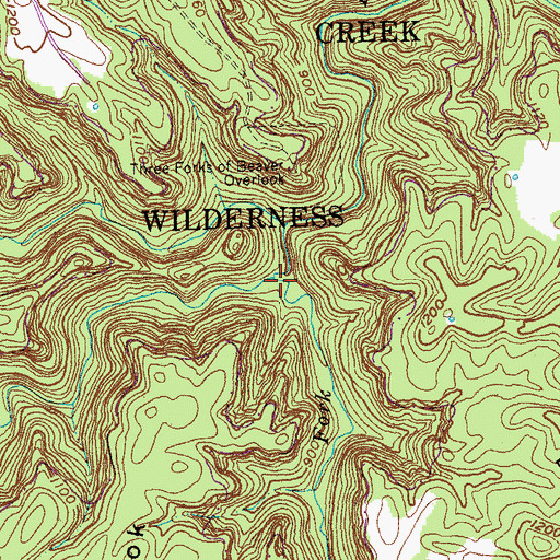 Topographic Map of Freeman Fork, KY