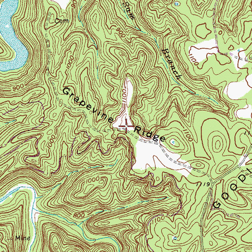 Topographic Map of Grapevine Ridge, KY