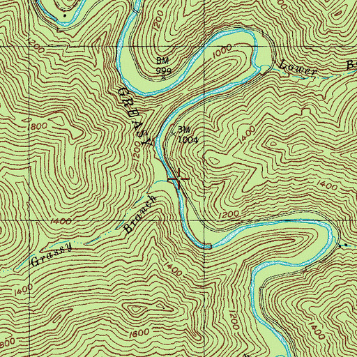 Topographic Map of Grassy Branch, KY