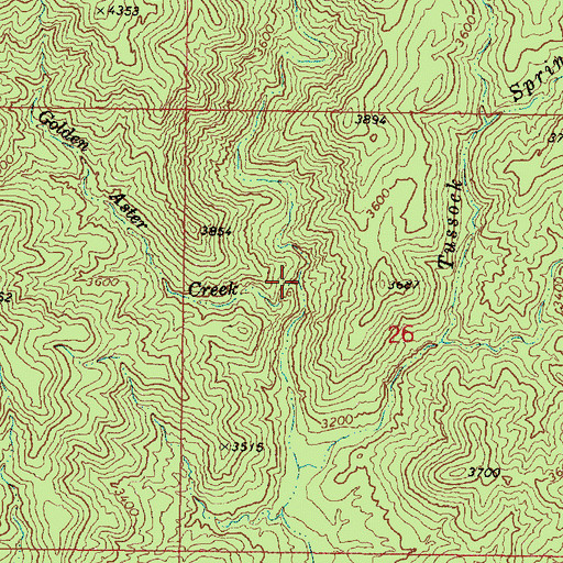 Topographic Map of Golden Aster Creek, AZ