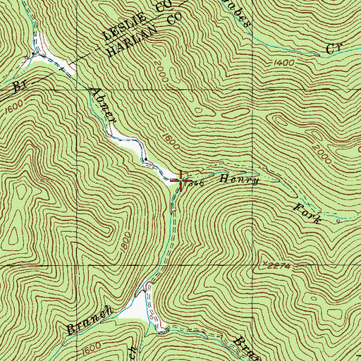 Topographic Map of Henry Fork, KY