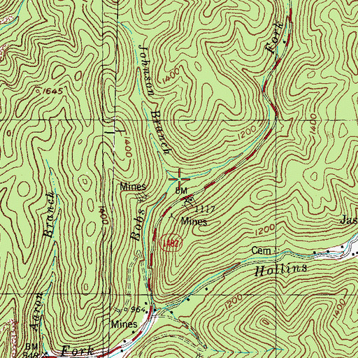 Topographic Map of Johnson Branch, KY