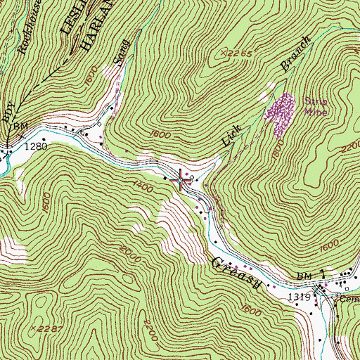 Topographic Map of Lick Branch, KY