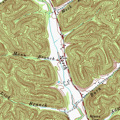 Topographic Map of Mann Branch, KY