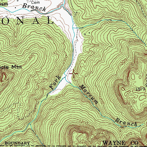 Topographic Map of Marcum Branch, KY