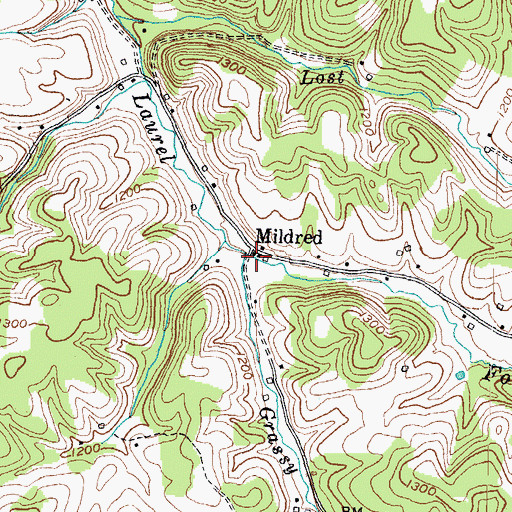 Topographic Map of Mildred, KY
