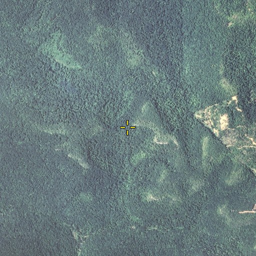 Aerial/Satellite Image of Peter Gap, KY