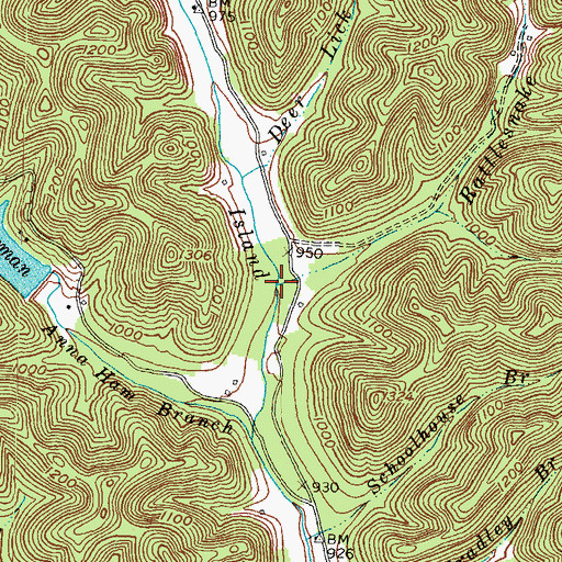 Topographic Map of Rattlesnake Branch, KY