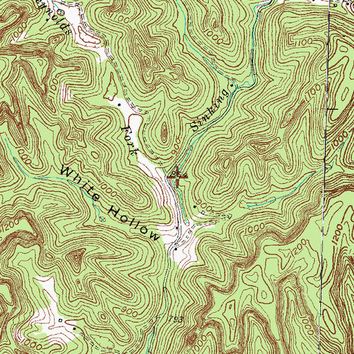 Topographic Map of Reynolds Fork, KY