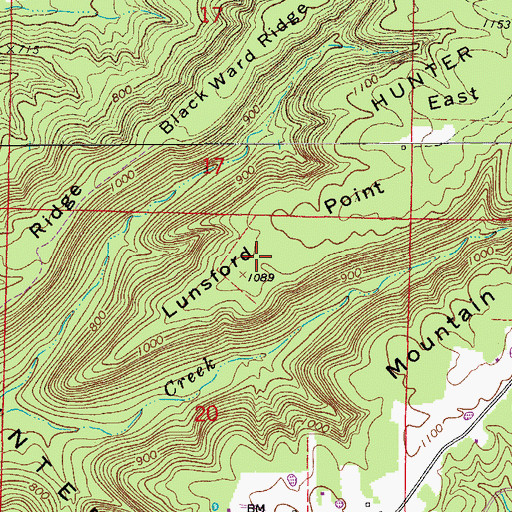 Topographic Map of Lunsford Point, AR
