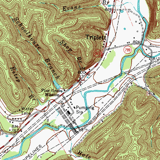 Topographic Map of Schoolhouse Branch, KY