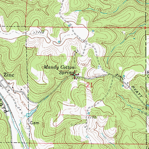 Topographic Map of Mandy Cotton Spring, AR