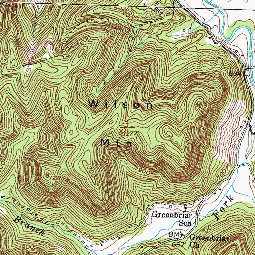 Topographic Map of Wilson Mountain, KY