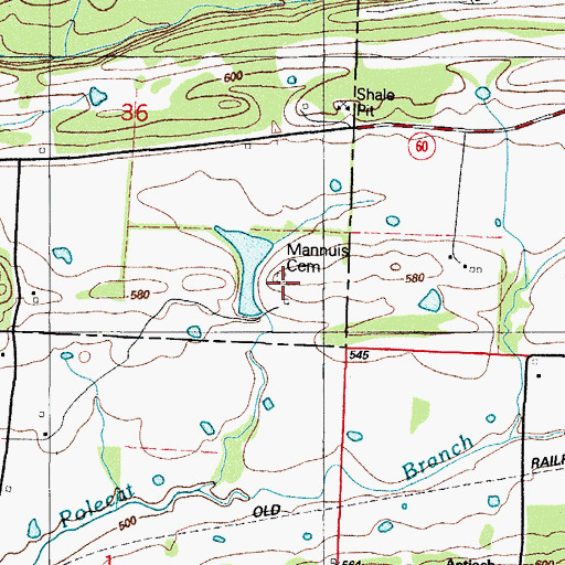 Topographic Map of Mannuis Cemetery, AR