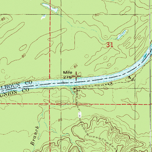 Topographic Map of McClendon Branch, AR