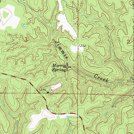 Topographic Map of Morris Spring, AR