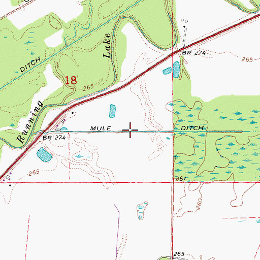 Topographic Map of Mule Ditch, AR