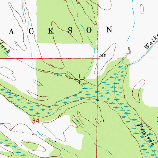 Topographic Map of Neicy Slash, AR