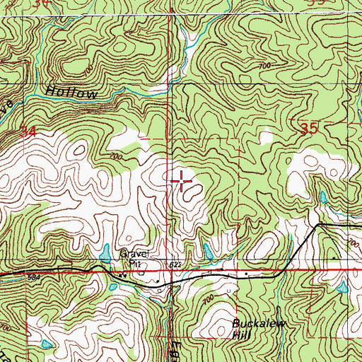 Topographic Map of Negro Hill, AR