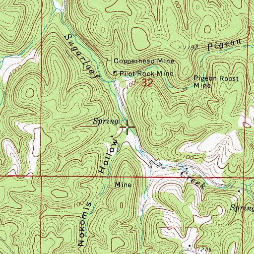 Topographic Map of Nokomis Hollow, AR