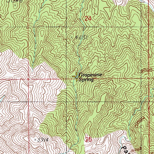 Topographic Map of Grapevine Spring, AZ