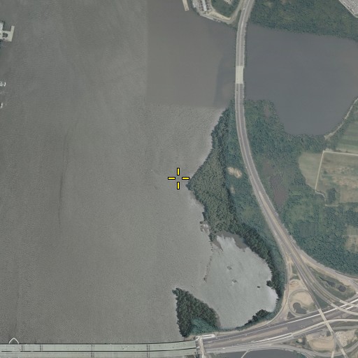 Aerial/Satellite Image of Fox Ferry (historical), DC