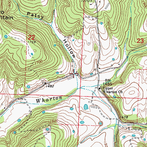 Topographic Map of Patsy Hollow, AR