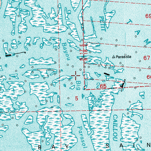 Topographic Map of Bayou Big Parasol, LA